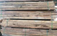 四川凉山彝族自治州二手桥梁木打包出售4＿6米13x14。有600根