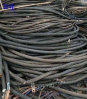 泸州大量回收电缆