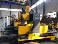 Fayne PD16 double worktable gantry drilling machine for sale