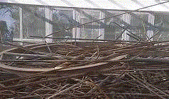 小废(精料)出售