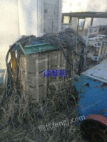 Recycling waste power equipment and transformers in Ningbo, Zhejiang Province