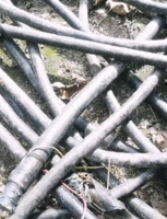 长期大量回收电线电缆 铜铁铝