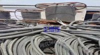 Guangxi Beihai specializes in recycling waste wires and cables