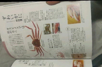 山東濰坊出售日料食材圖鑒介紹 其他回收