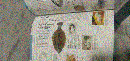 山東濰坊出售日料食材圖鑒介紹 其他價(jià)格