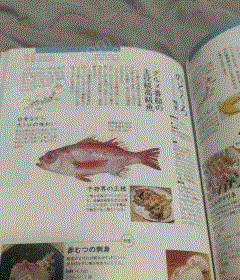 山東濰坊出售日料食材圖鑒介紹 其他轉(zhuǎn)讓