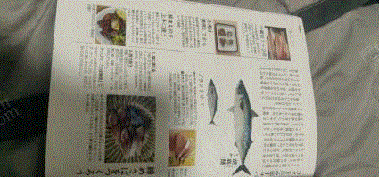 山東濰坊出售日料食材圖鑒介紹 其他出售