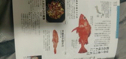 山東濰坊出售日料食材圖鑒介紹 其他價(jià)格