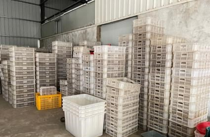 福建漳州出售冷库用的筐子和冻盘，有需要的联系