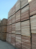 回收出售新旧木方 模板 竹胶板 木跳板 库存积压物资