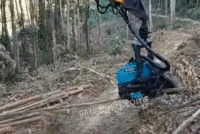 在用二手伐木机低价出售