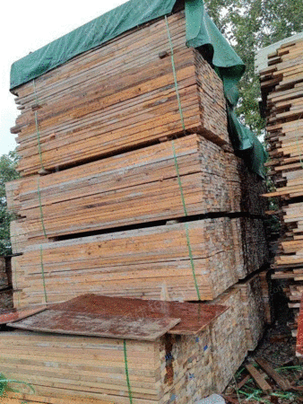 Тайчжоу, провинция Цзянсу, продает 100 тонн дерева по