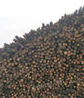 河北唐山大量出售松木杆，木杆，2.7米长