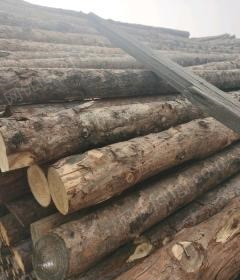 河北唐山大量出售松木杆，木杆，2.7米长