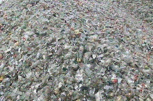 A batch of professional recycling waste glass in Changsha, Hunan Province