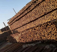 北京朝阳区转让杉木杆，支撑杆1米，2米，3米，4米，5米