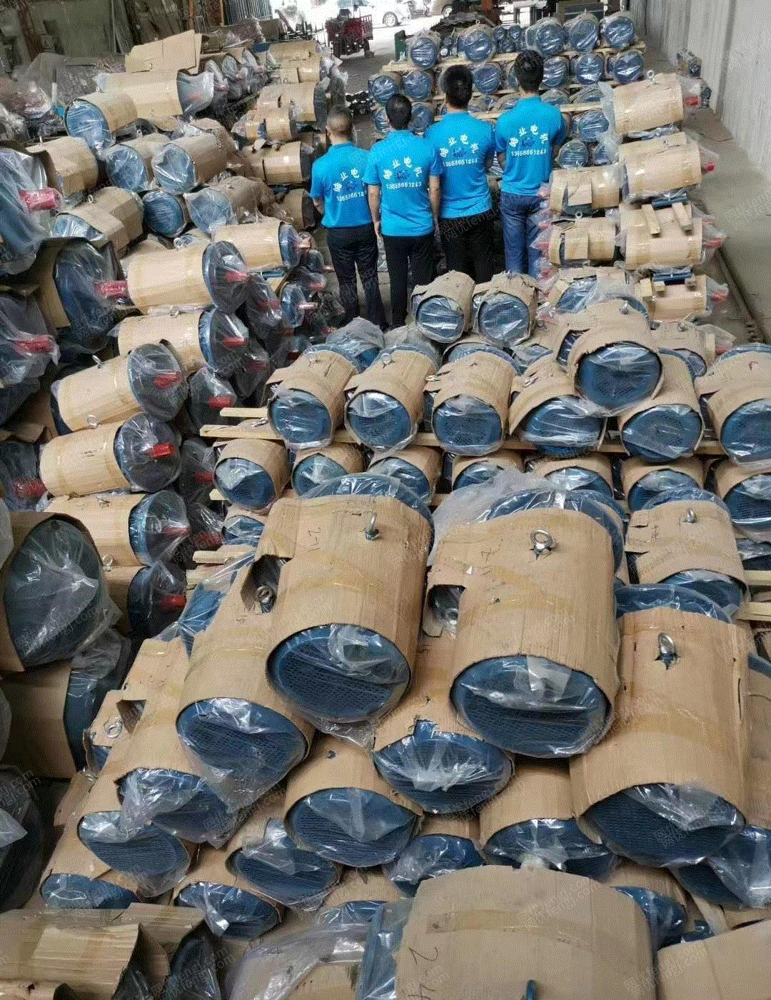 其它电动机价格