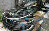 长期大量回收电线电缆 电机 铜铁铝 不锈钢 报废车