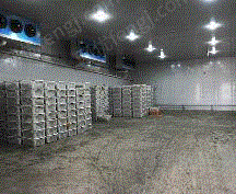 吉林地区で各種大型冷凍庫が高値で回収された