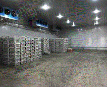 Recycling all kinds of large-scale cold storages at high prices in Jilin area
