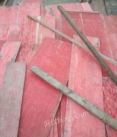 江苏常州出售旧木方、方木、旧模板、竹胶板