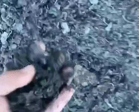 钢渣铁屑出售