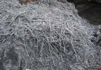 Yangzhou, Jiangsu Province professionally acquired a batch of scrap aluminum