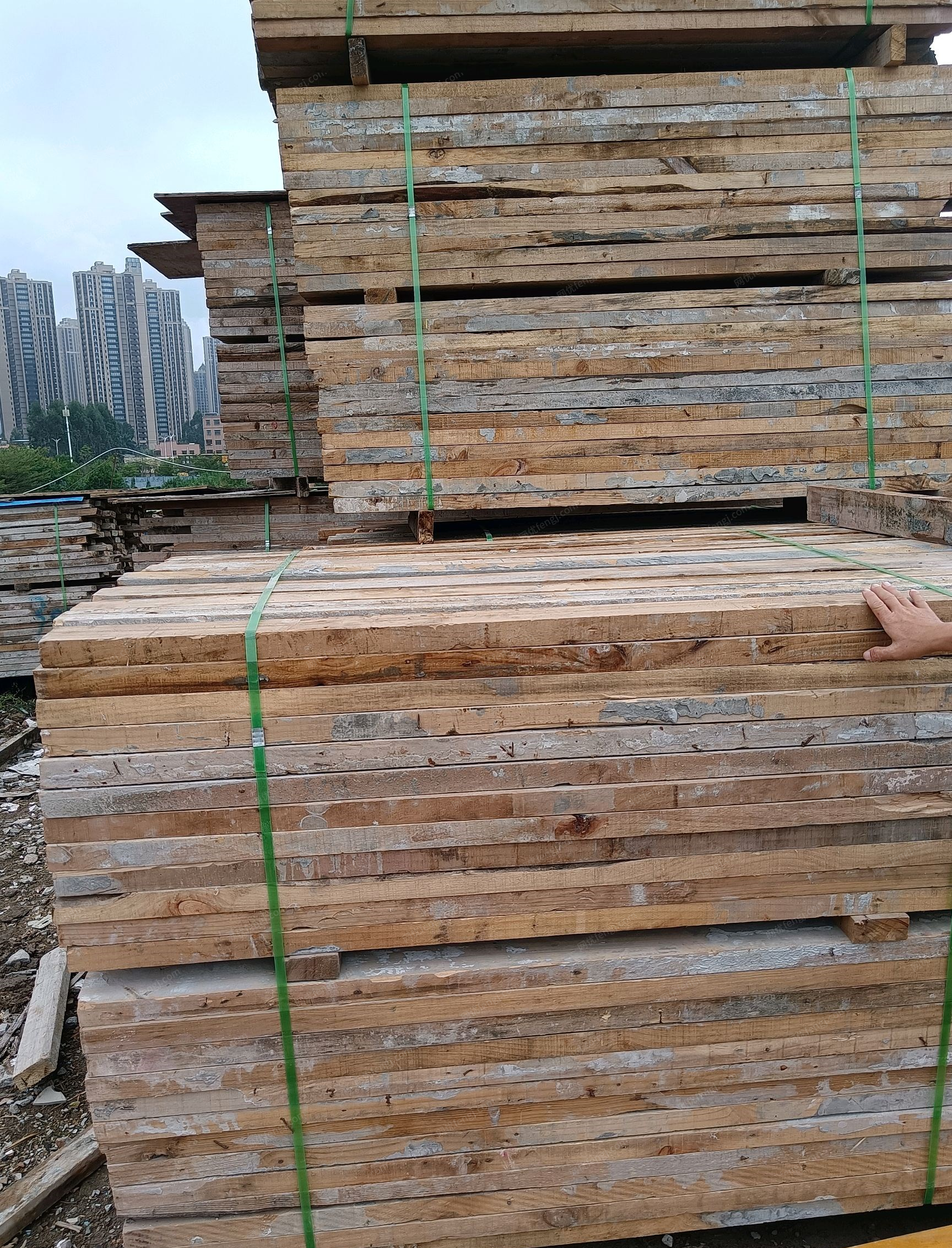广东深圳出售出租木方模板钢管轮扣木桩螺杆，脚手架