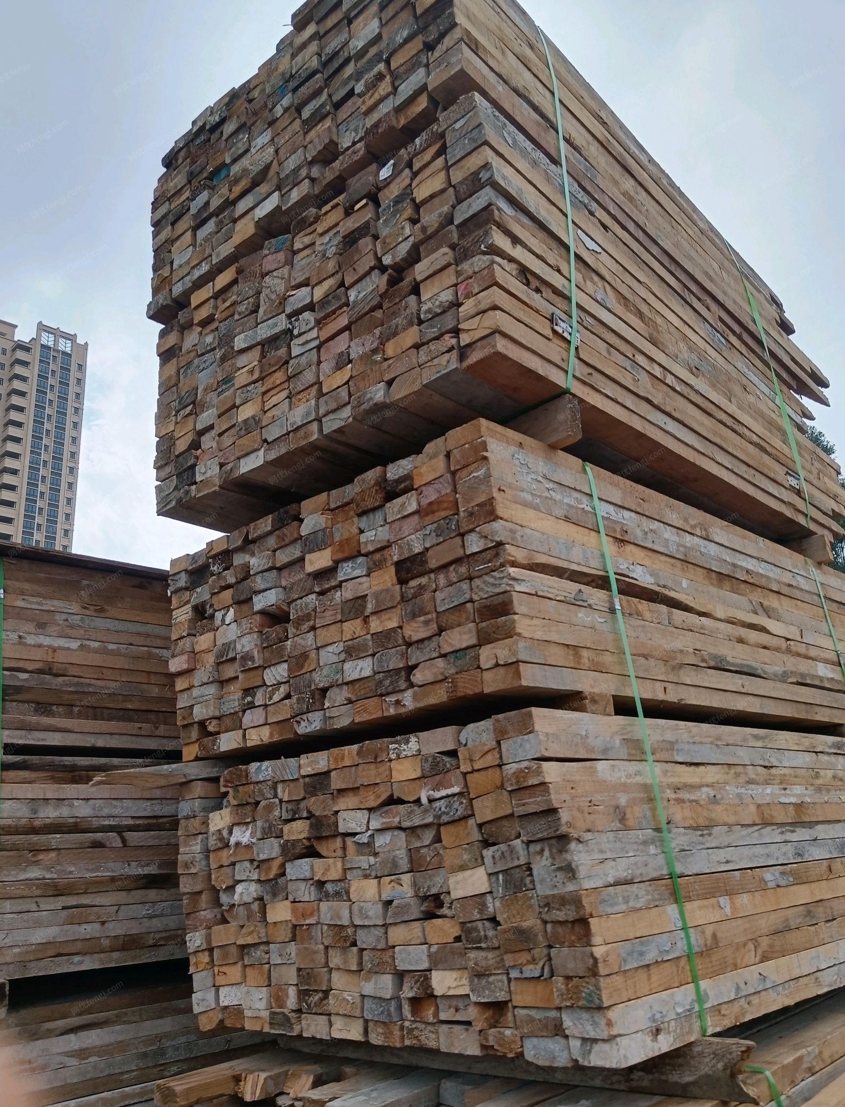 广东深圳出售出租木方模板钢管轮扣木桩螺杆，脚手架