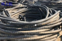 广州现金收购废旧电缆