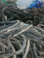 长期回收废旧电线电缆　废金属