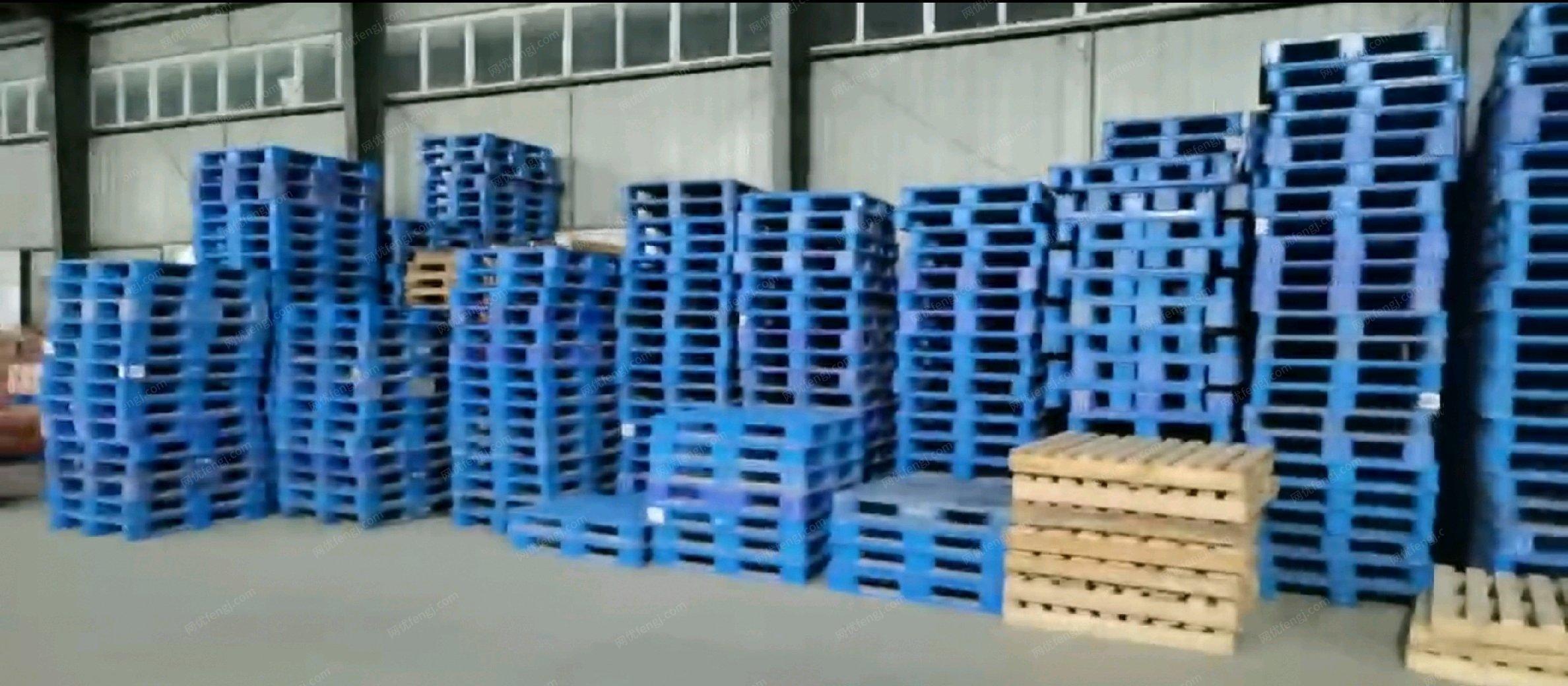河南郑州因疫情不干了，处理1m米X1.2米塑料拖板9.5成新