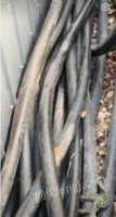 长期高价回收各种废旧电线电缆，废铜铝等