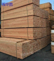 Дунгуань много покупает строительную древесину