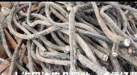 长期大量回收电线电缆 废钢筋