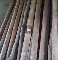 广西玉林出售200条杂木顶同3米长