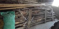 广西贺州出售建房子的木头约300条