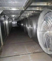 北京东城区速冻流态化隧道 每小时产量3吨 低价出售 好货