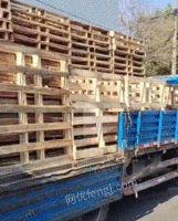 大量回收木托盘 木箱