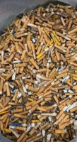 常年大量回收烟头