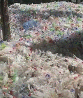 大量回收各种废塑料瓶