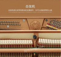 广州珠江钢琴型号118M+（乐器）网络处理招标