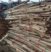 高价回收废旧木材 木方 模板