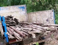 高价回收工地木方 模板 杂柴