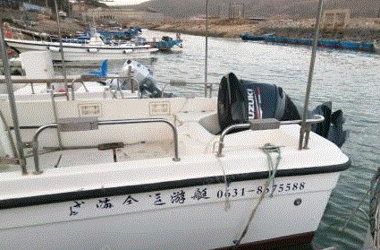 辽宁大连急用钱个人闲置8米游艇140铃木单机便宜出售，几百个小时