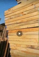 回收工地木方模板