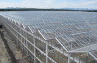 江西抚州转让玻璃智能温室大棚薄膜连栋温室大棚