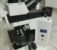 湖南长沙出售奥林巴斯金相显微镜bx41九五新