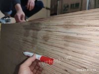 福州出售432片木工板