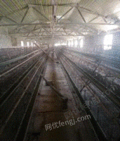 河南漯河养鸡全套设备，4000只鸡笼，育雏笼等出售